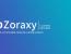 NPM의 대안 Zoraxy v3 - 네트워킹 초보자를 위한 역방향 프록시 서버